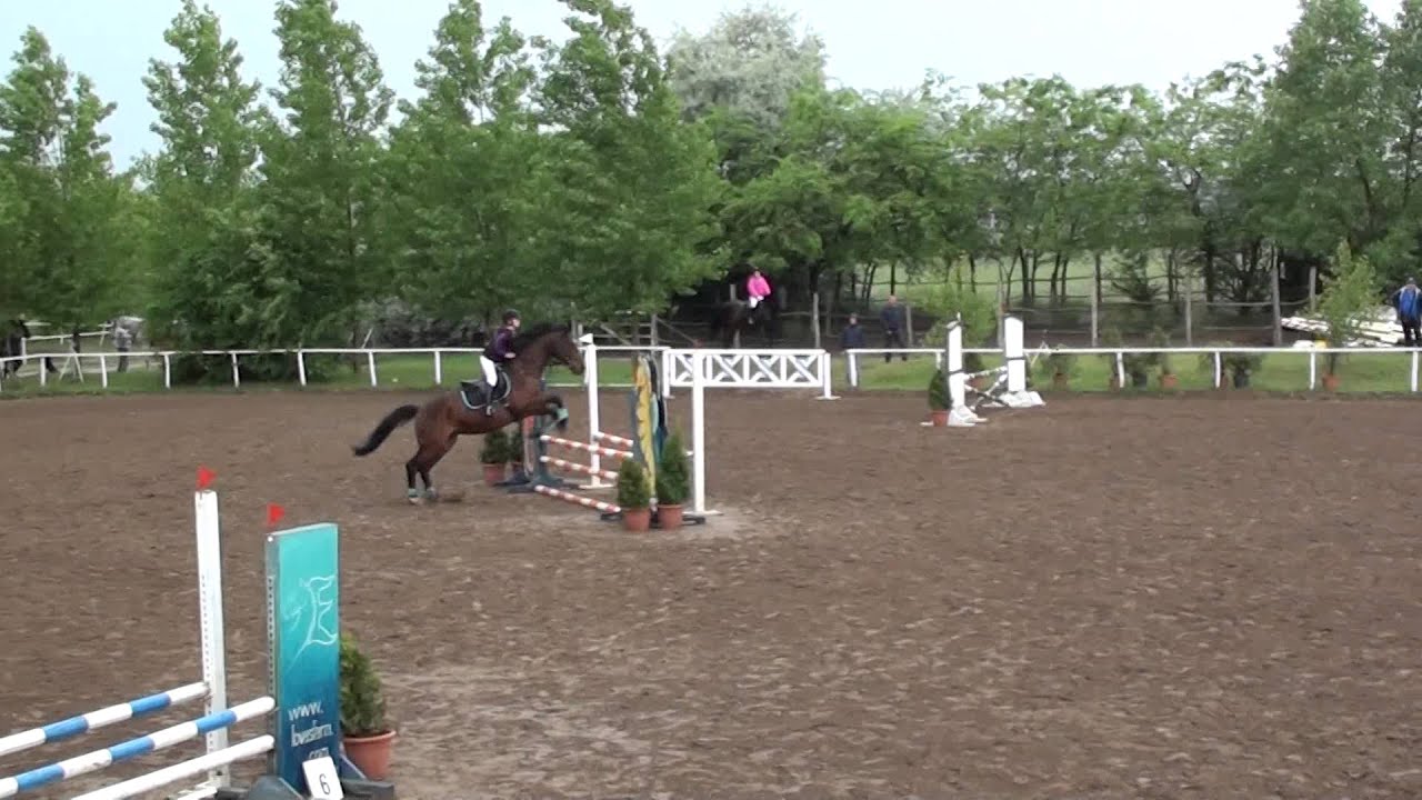 2014.05. 11. Ócsa  Díjugratás Nagy ló 80 cm Orfeusz 3. hely