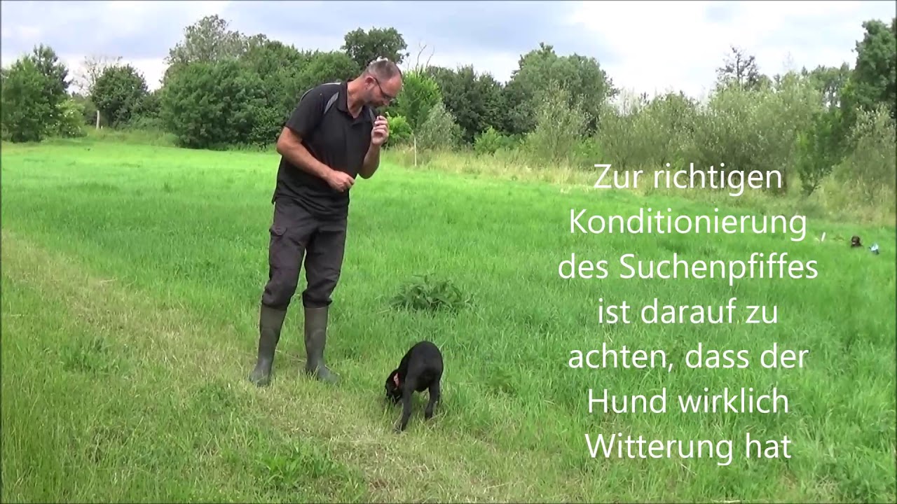 Dasha - Woche 12&13