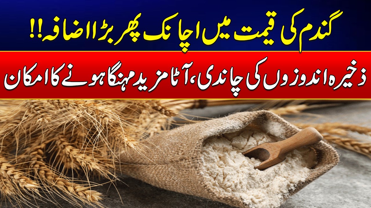 Farmers Forced to Sell Wheat in Open Market as Government Rate Falls Short | News Update | Rohi