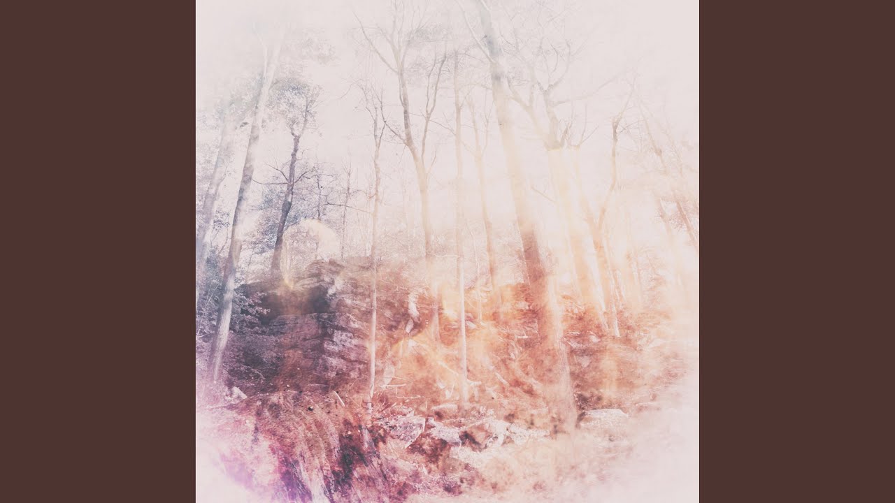 Green Filtered Sunlight