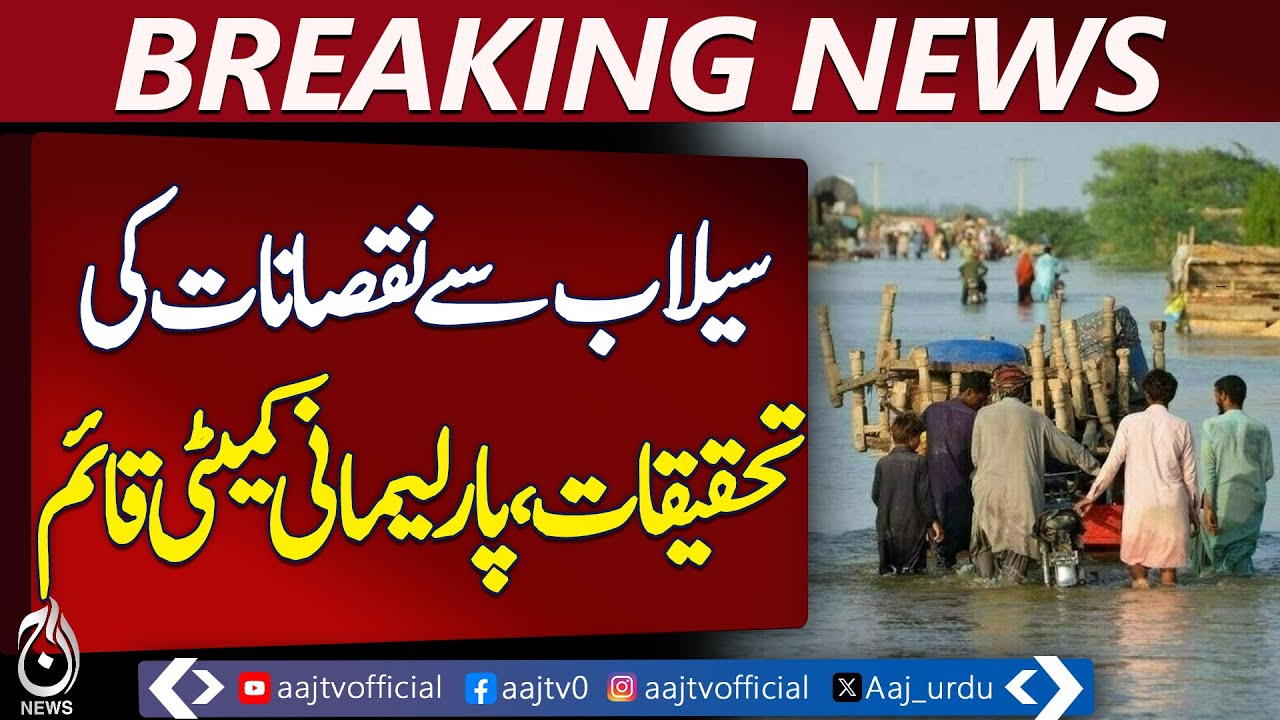Pakistan Flood Losses | Parliamentary Committee Investigation | Flood Damage Probe - Pakistan news