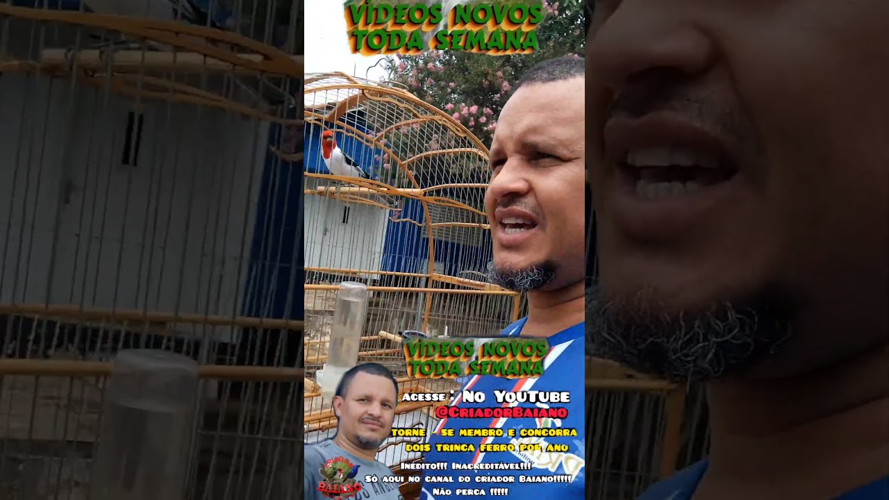 Trinca ferro o cliente veio buscar o seu filhote