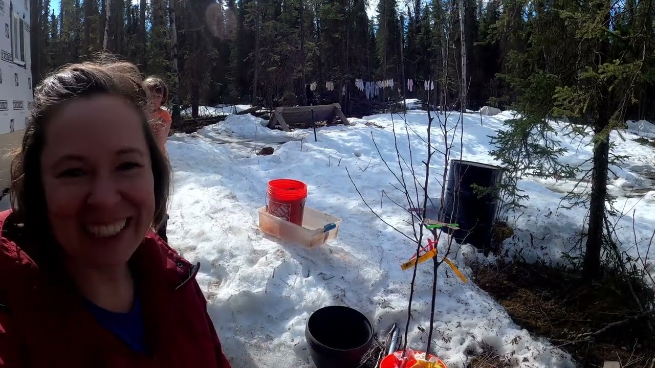 Продовольственная безопасность сада, модернизация солнечной системы | Жизнь на Аляске