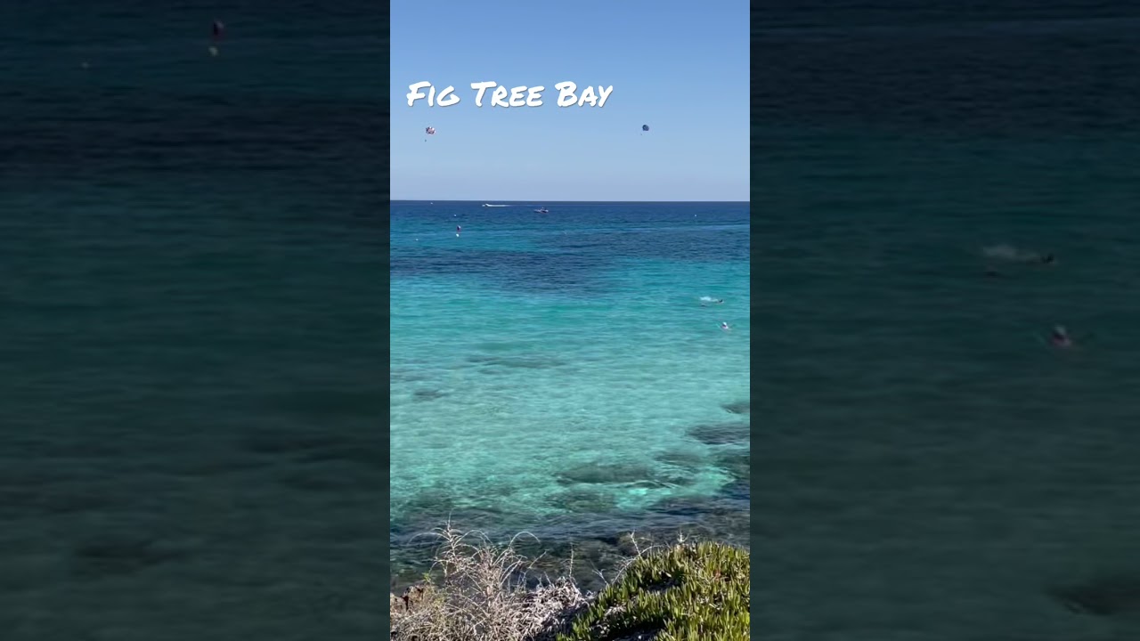 Fig Tree Bay, October 2021
