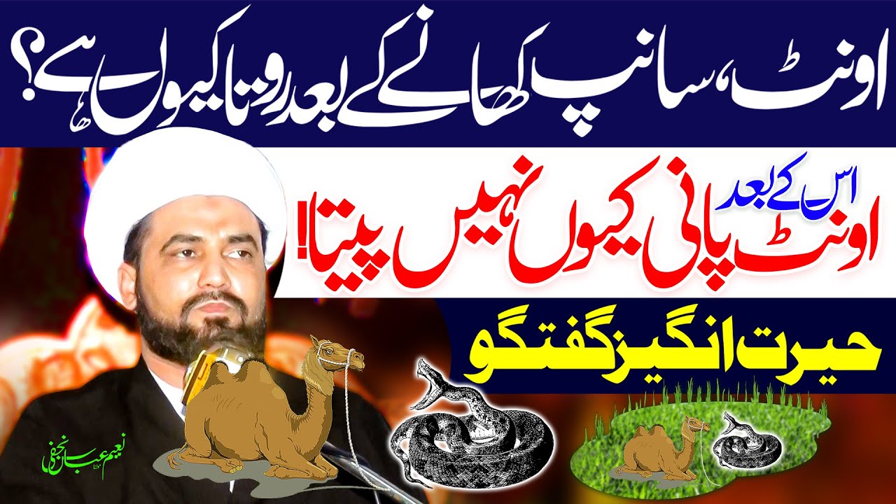 Camel Snake Kyun Khaati Hai | Maulana Naeem Abbas Najafi | ⓒ