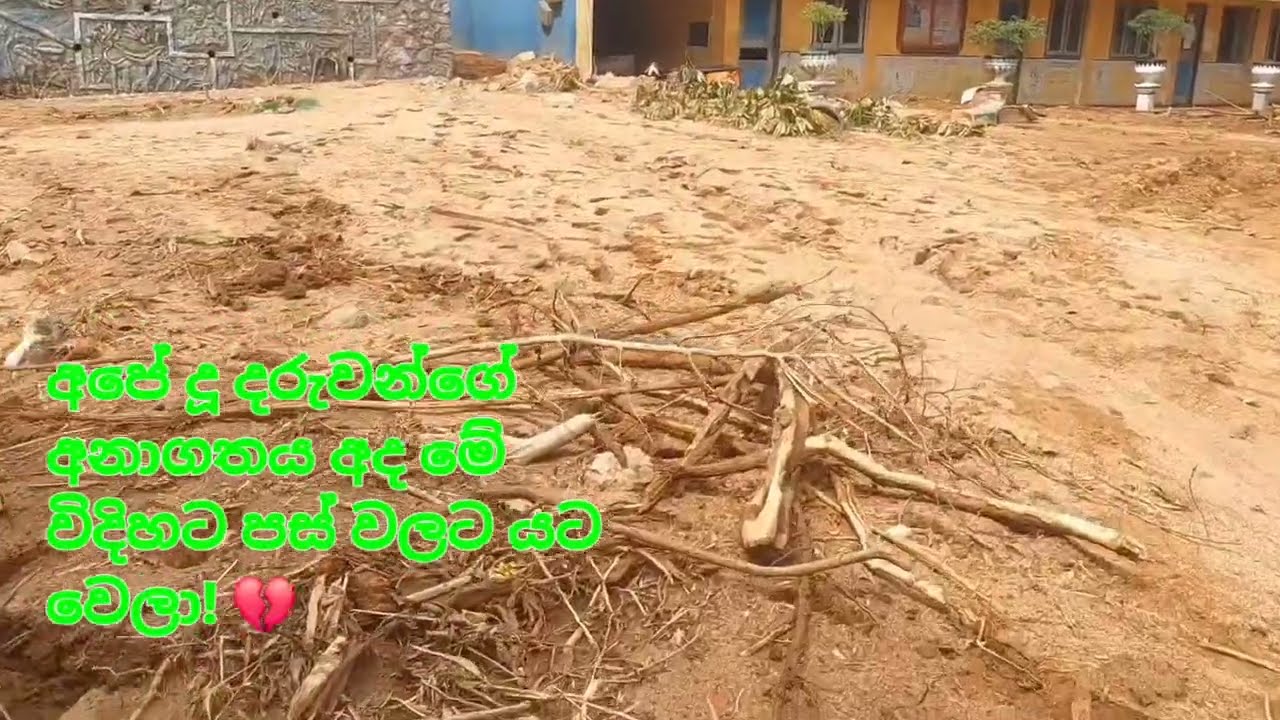 මීගහකිවුලේ වටිනාම සම්පත බ/මීගහකිවුල ජාතික පාසලට DITWA නිසා  අත්වූ ඛේදනීය ඉරණම! 🚨  
