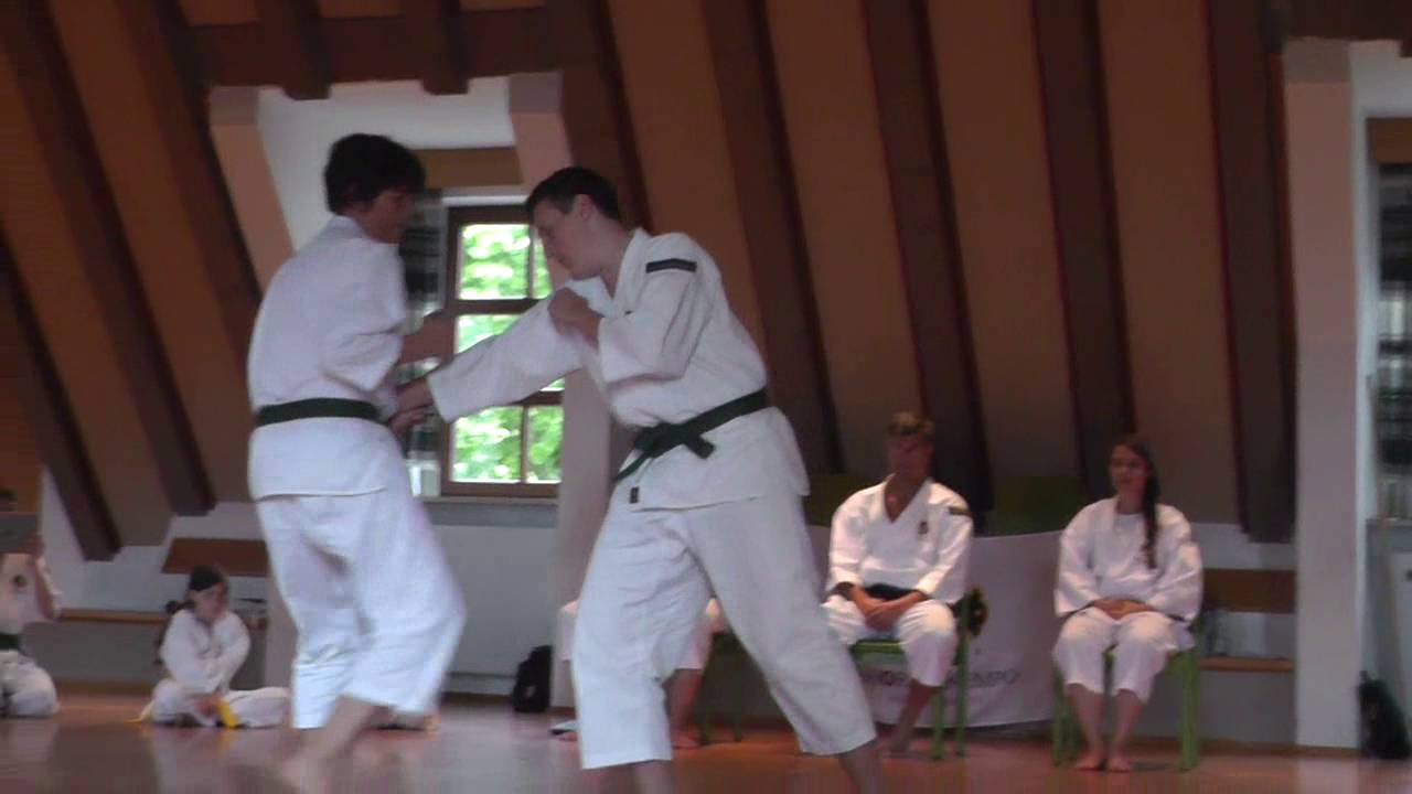Training Camp for Kids und Teens - Violau 2016