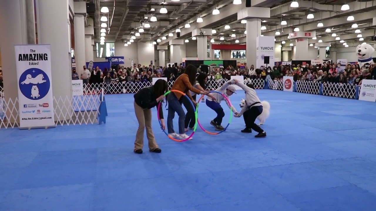 AKC Meet the Breeds - NYC - 2023 - Day 1 Tricks Demo
