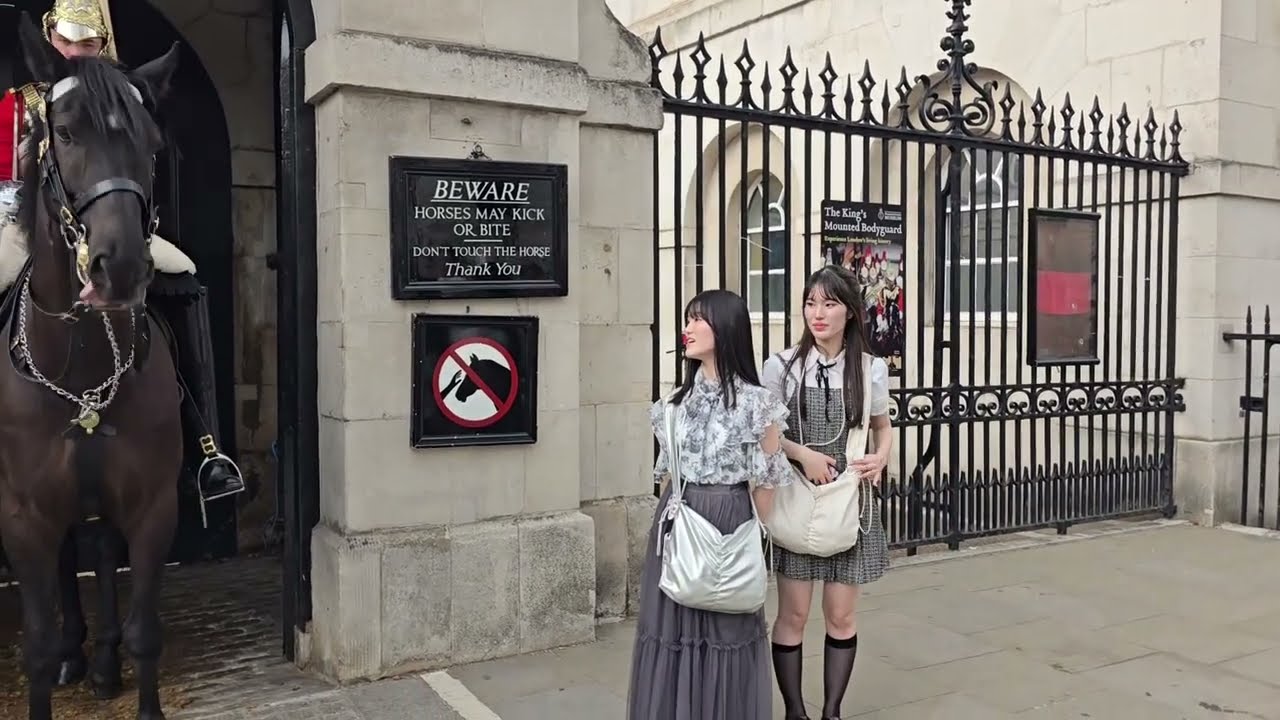 TWO JAPANESE GIRLS SHOW RESPECT AND THE HORSE BOWS BACK ❤️ #kingsguard 