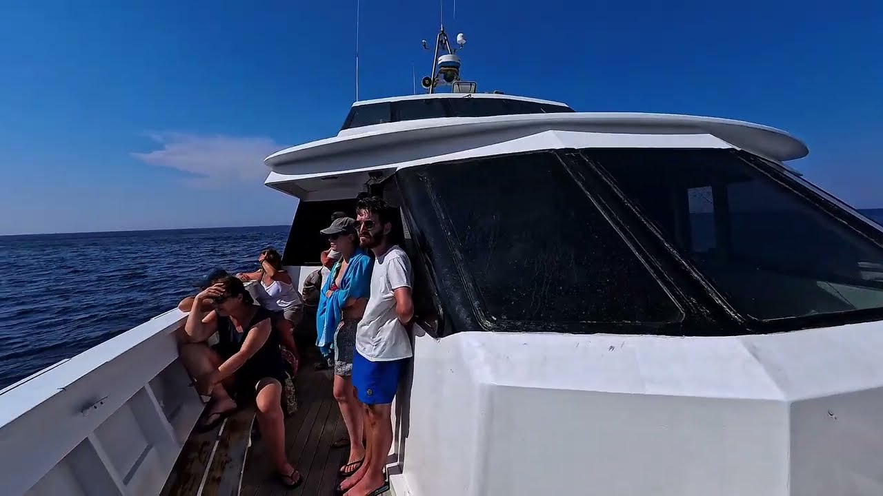 Giro dell'Isola di Capraia con la motonave LA SUPERBA