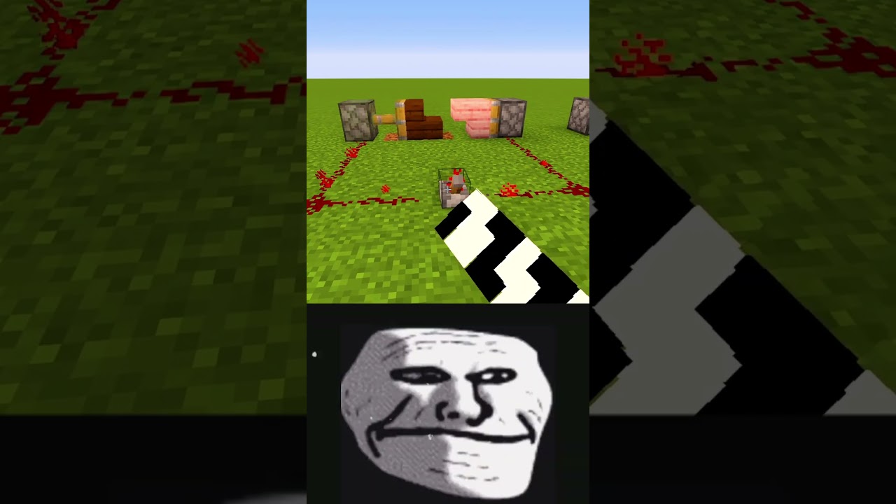 weird minecraft Logic #minecraft #shorts