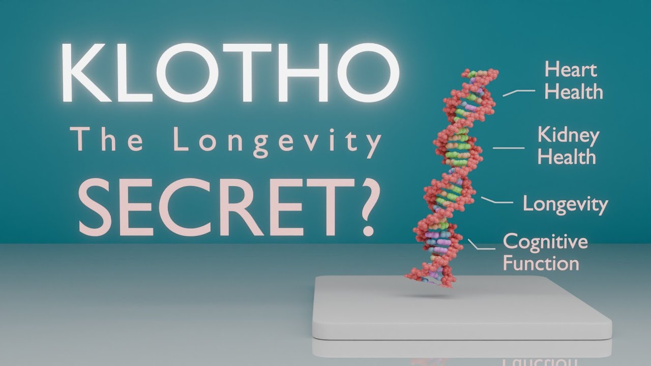 The Real Longevity Hormone? (Klotho Explained)