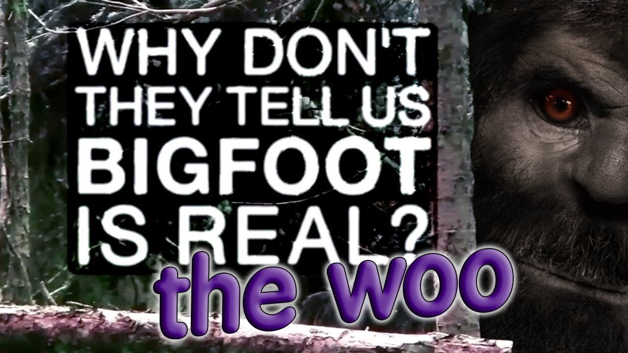 Paranormal Sasquatch: *THE WOO* What IS Bigfoot?