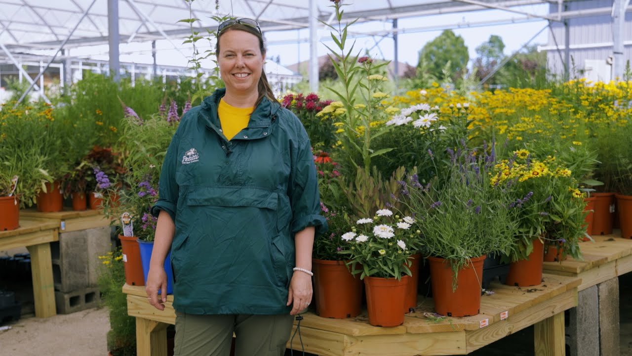 PETITTI How to Grow a Bee-Friendly Garden