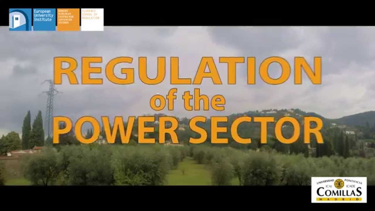 Regulation of the the Power Sector