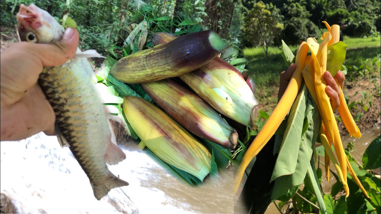 Karenni village find vegetables