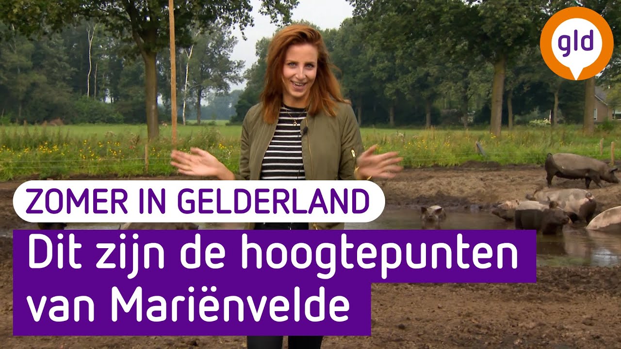 Zomer in Gelderland in Mariënvelde: de hoogtepunten