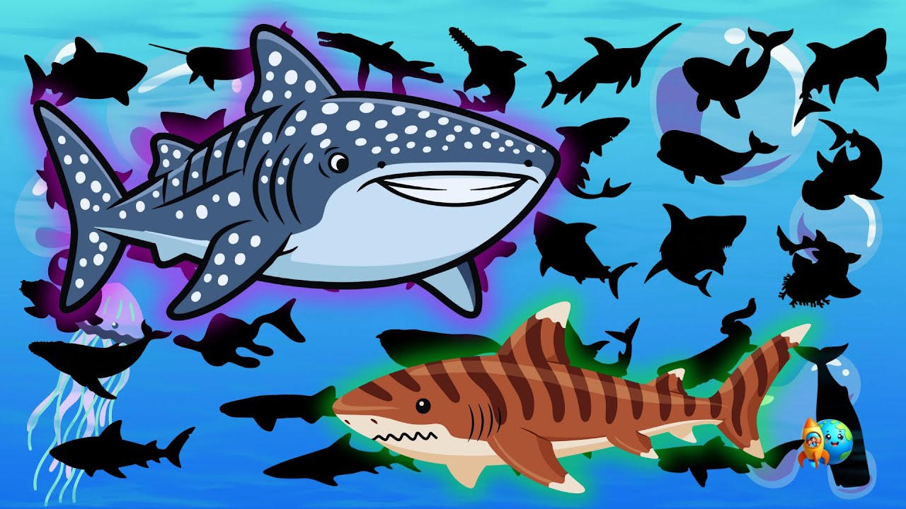 Animais Marinhos para Crianças 🌊🐳 | Aprendendo Brincando