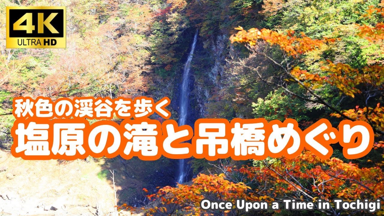 秋色の渓谷を歩く 塩原の滝と吊橋めぐり 那須塩原市塩原温泉郷