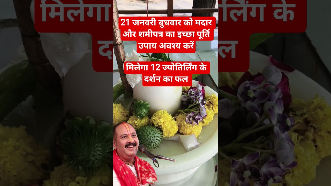 21 जनवरी बुधवार को मदार, शमीपत्र का इच्छापूर्ति उपाय करे 