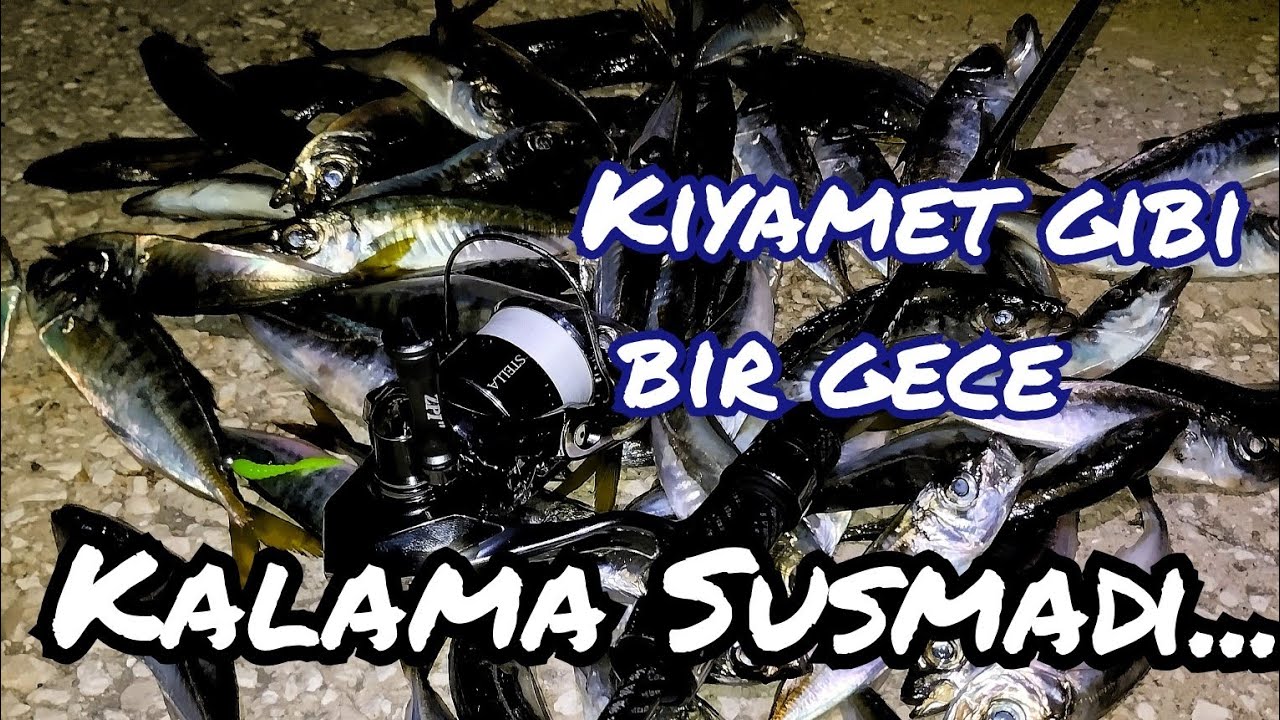 Büyükçekmece LRF Avı FULL AKSİYON | Her Anı Aksiyon, Boş Yok Film Tadında Video✅ |Daiwa Bibi 3.8cm🪱📛