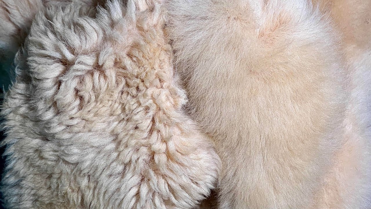 How To Restore Sheepskin Shearling Coat to Look NEW Again | Refresh Lambskin Jacket Hack 
