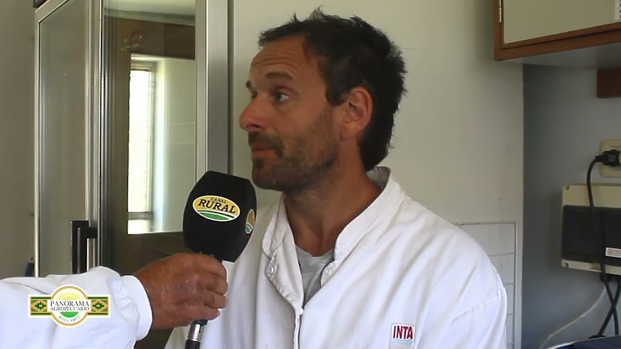 Panorama Agropecuario Balcarce 10/2 Producción de semilla de papa