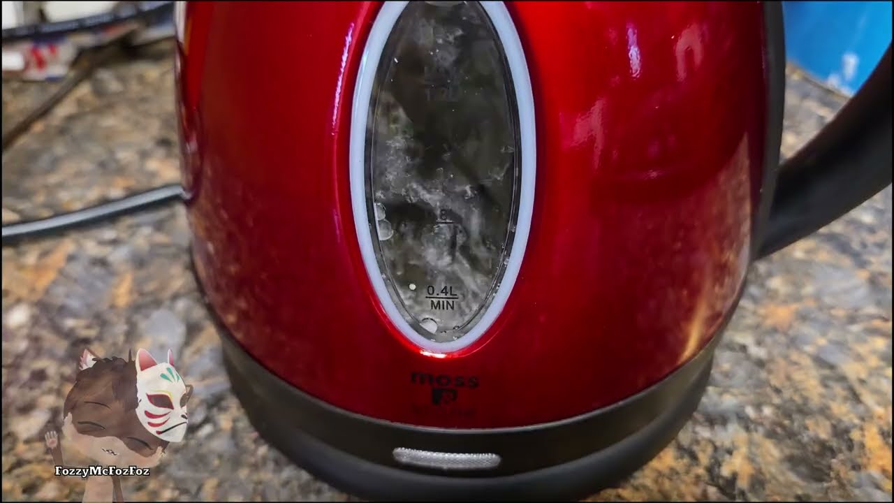 How to use Moss & Stone 1.2L Stainless Steel Electric Kettle