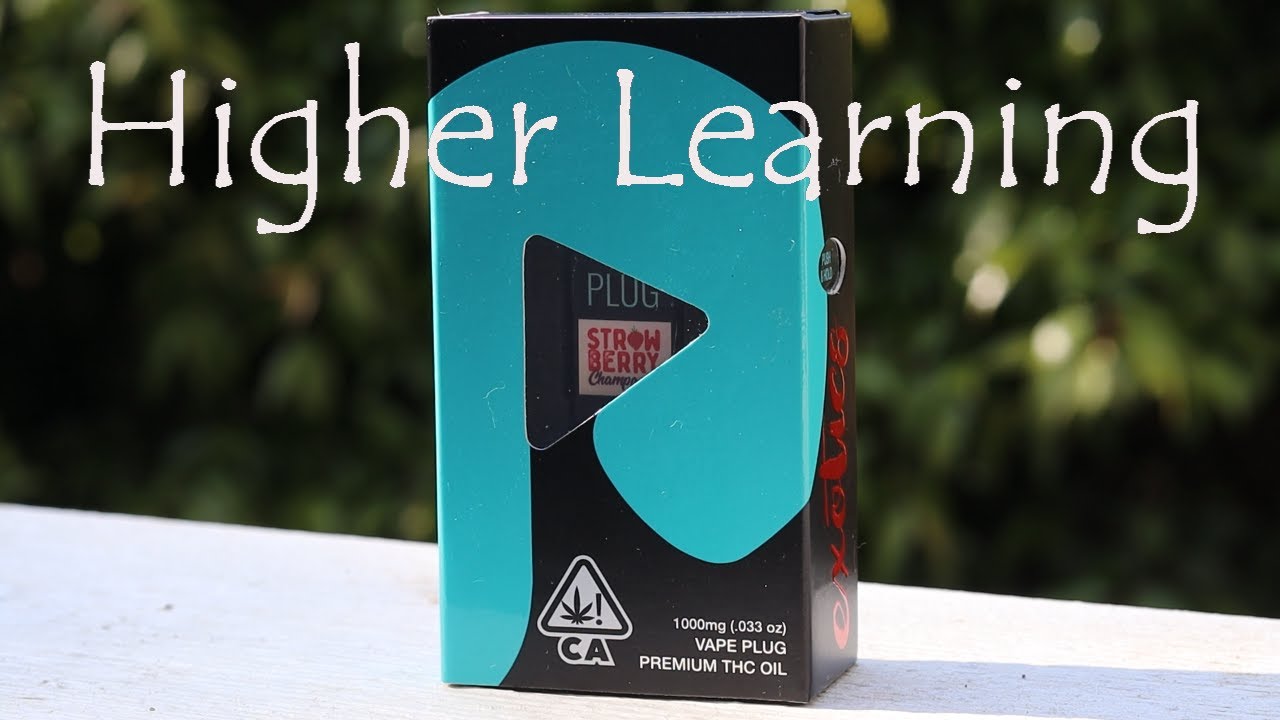 Plugplay (Strawberry Champagne) Review