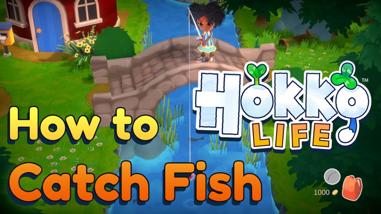 How to Catch Fish in Hokko Life