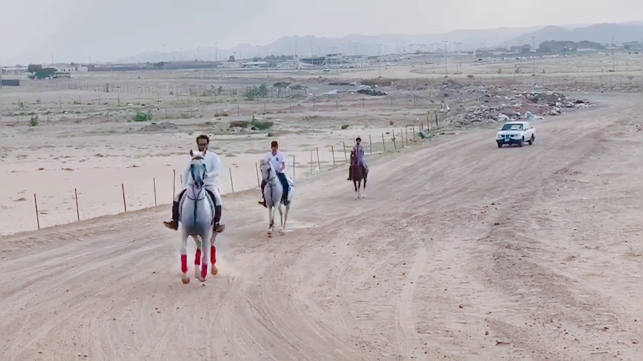 خيل يام مقطع 2