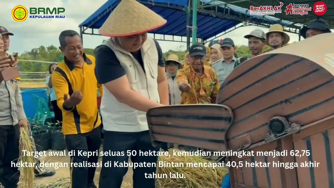 Panen Perdana Padi Lahan Kering di Bintan Utara Dihadiri Bupati Bintan