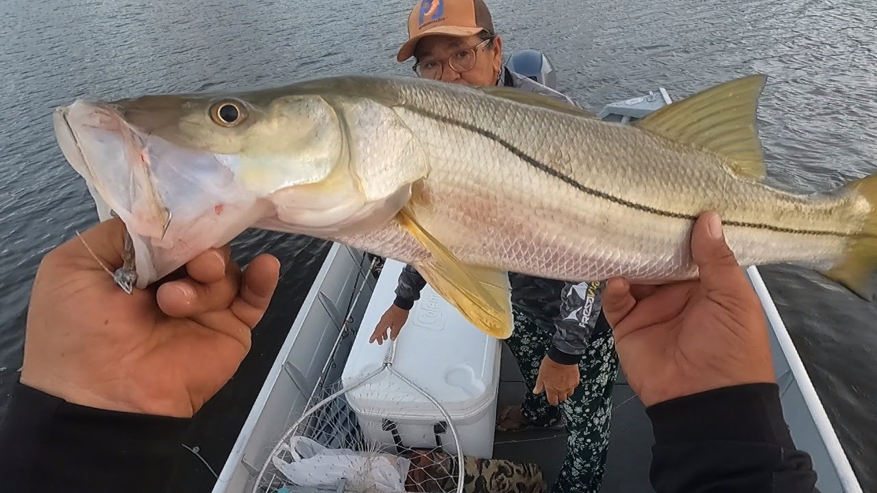 PESCARIA DE ROBALO EM NOVA VIÇOSA - BAHIA