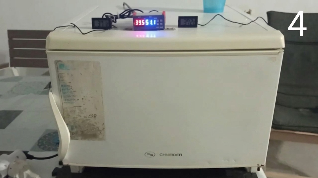 Así se hace una incubadora de huevos casera fácil