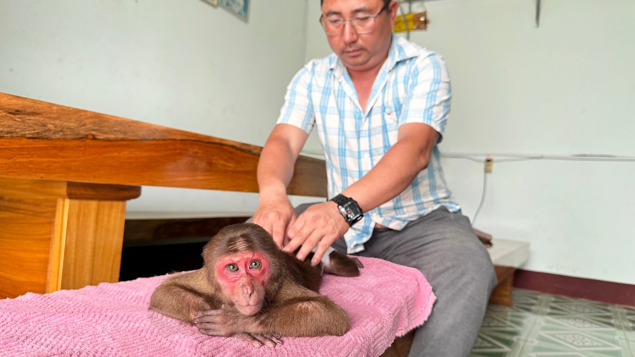 Su was pampered by Mr. Nam in the most unexpectedly special way