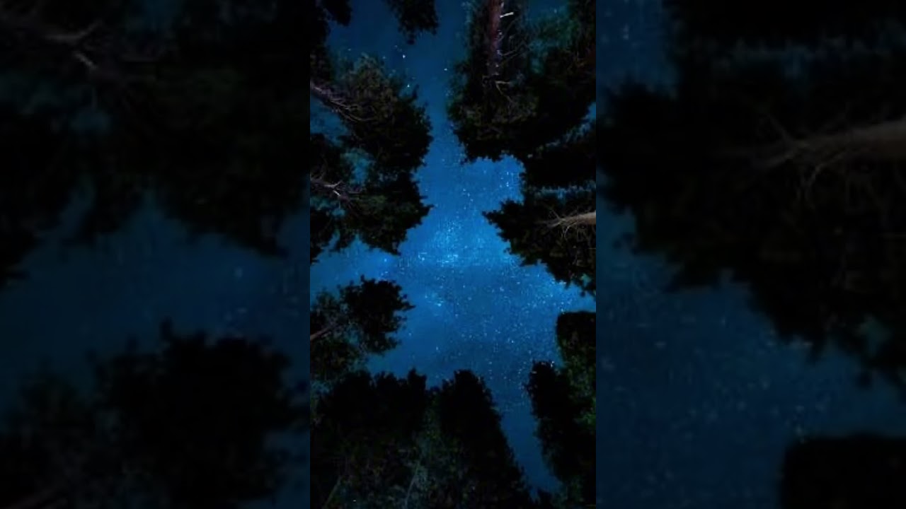 Found you in the woods!!!! (Vore ASMR)(safe vore)