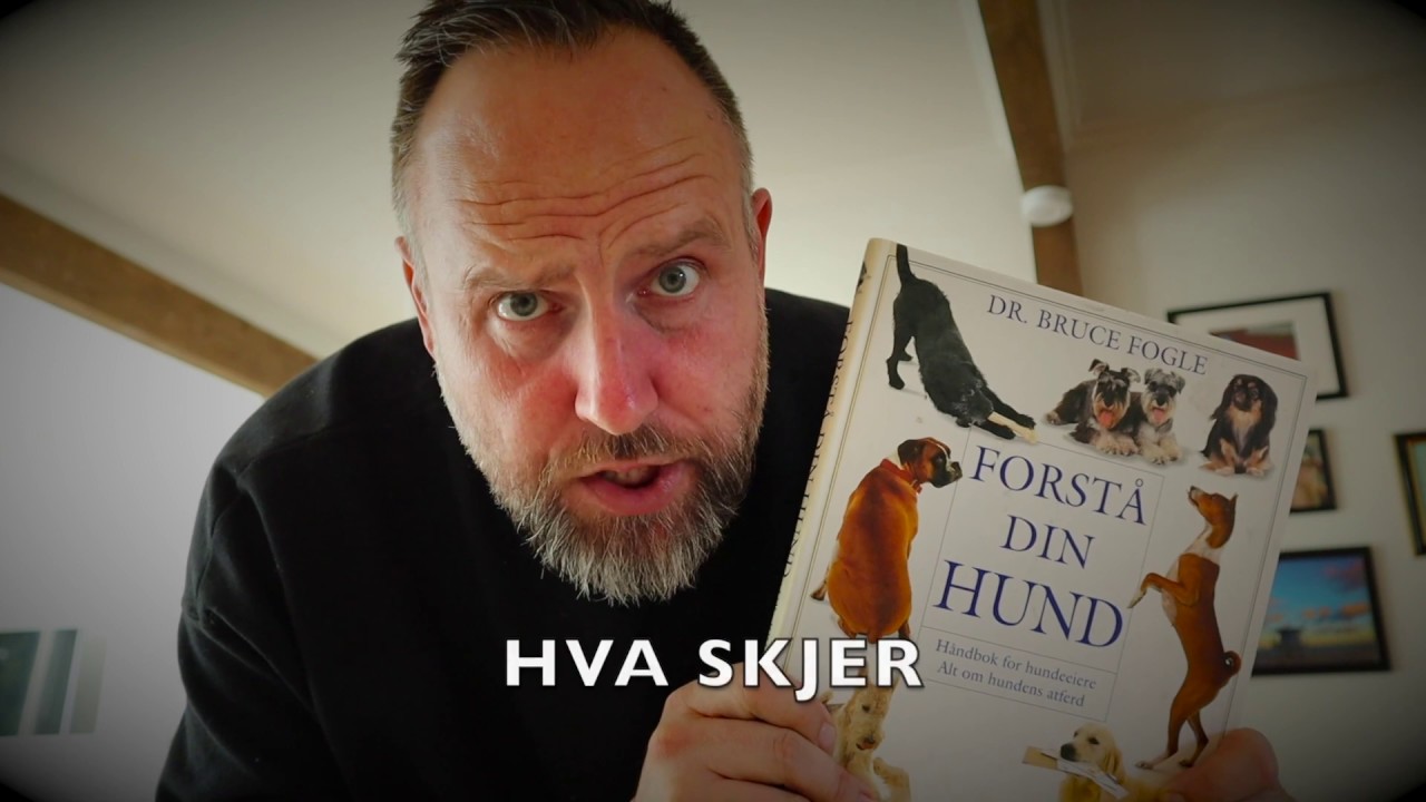 Tid for bok! Hva skjer når vi bytter ut ordet hund med mann?