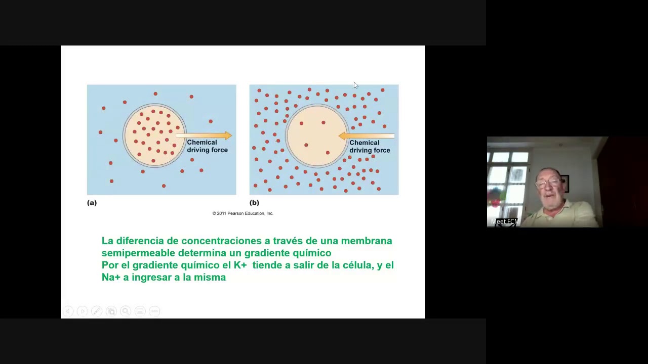 Consulta Crecimiento y Desarrollo - Dr. Arias