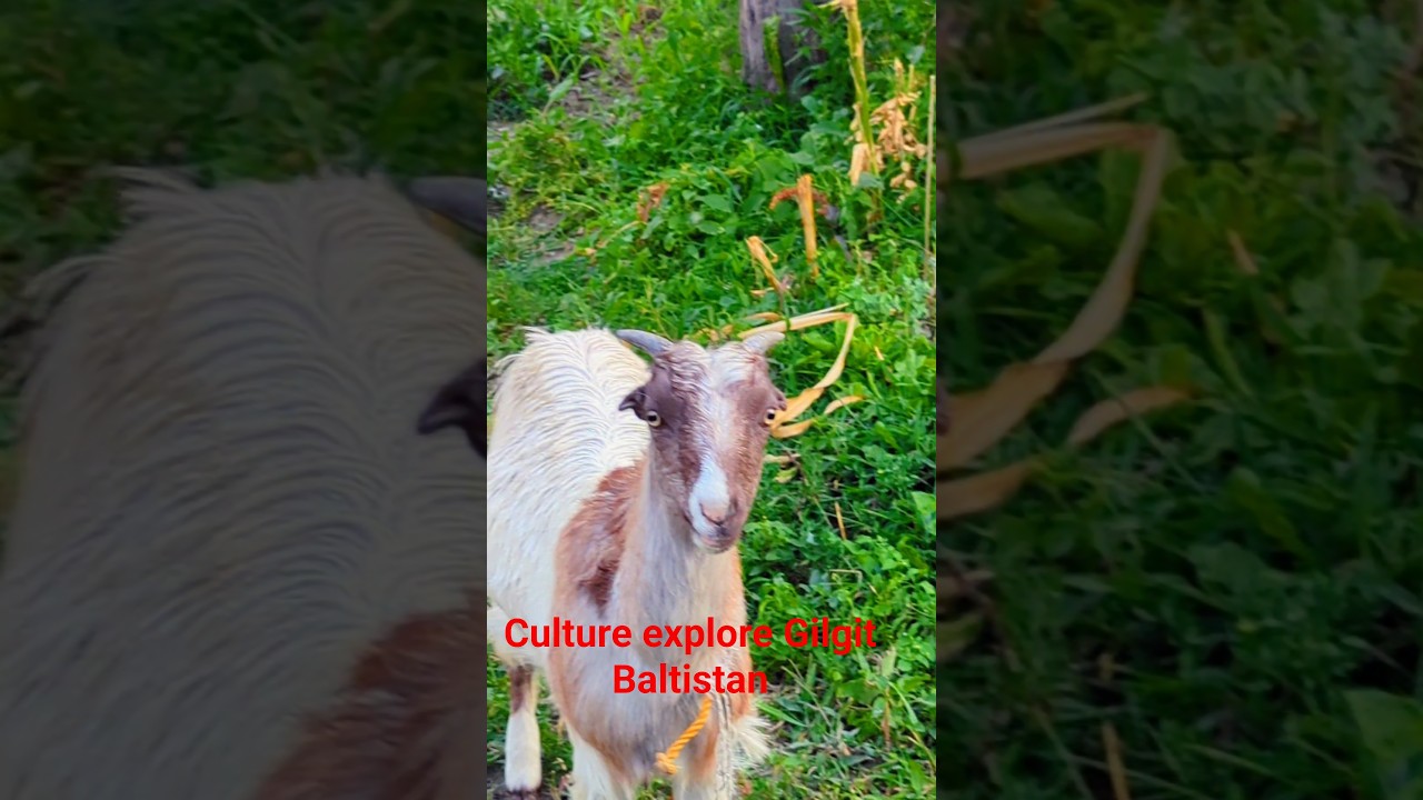 Gilgit Baltistan culture explore amazing facts 