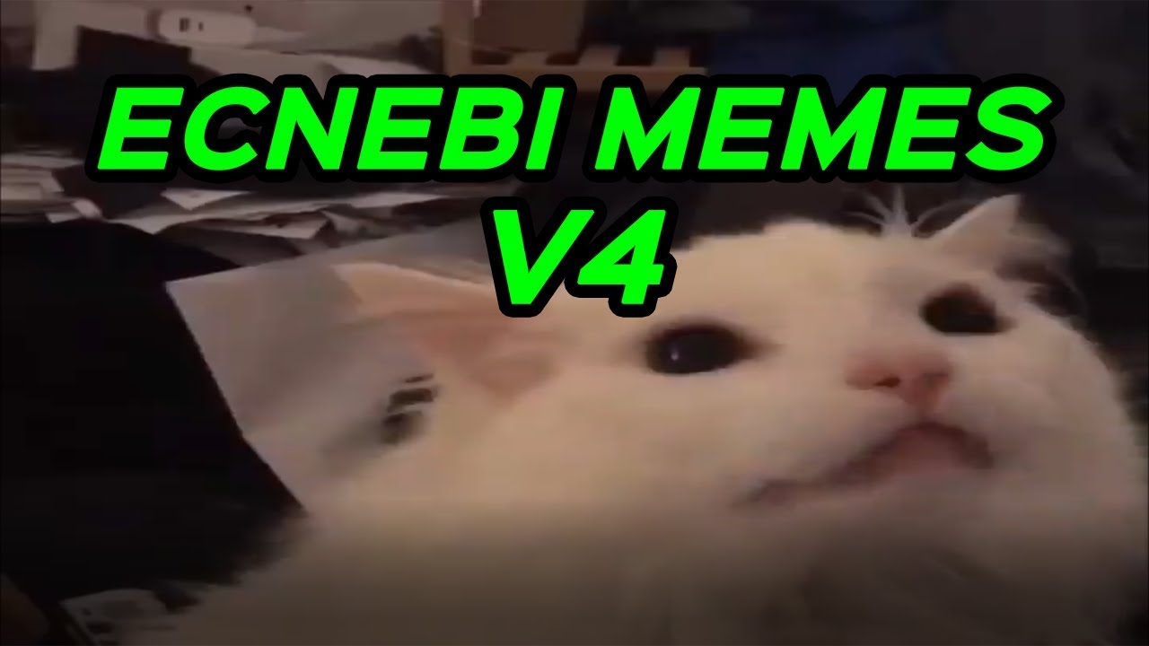 ECNEBI MEMES V4