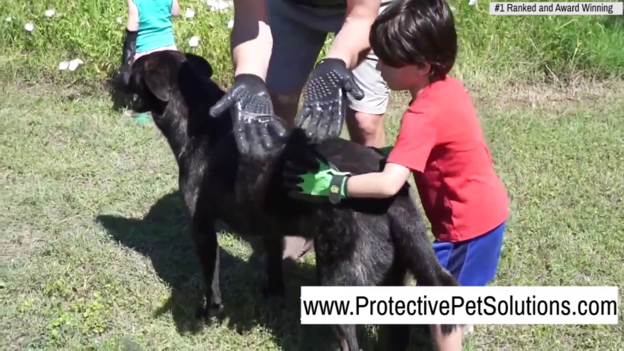 HandsOn Gloves for Dog Grooming - Now Available at Protective Pet Solutions