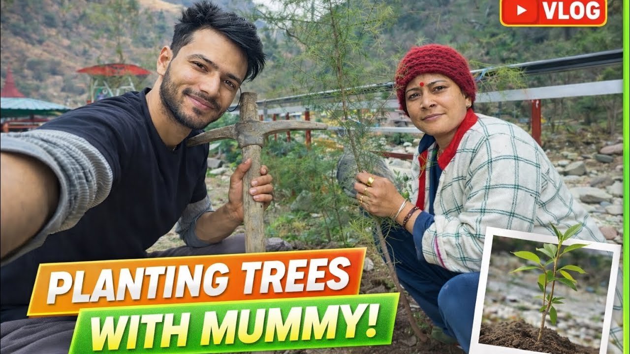 Aj humne plants lagaye 😍 || Family vlog