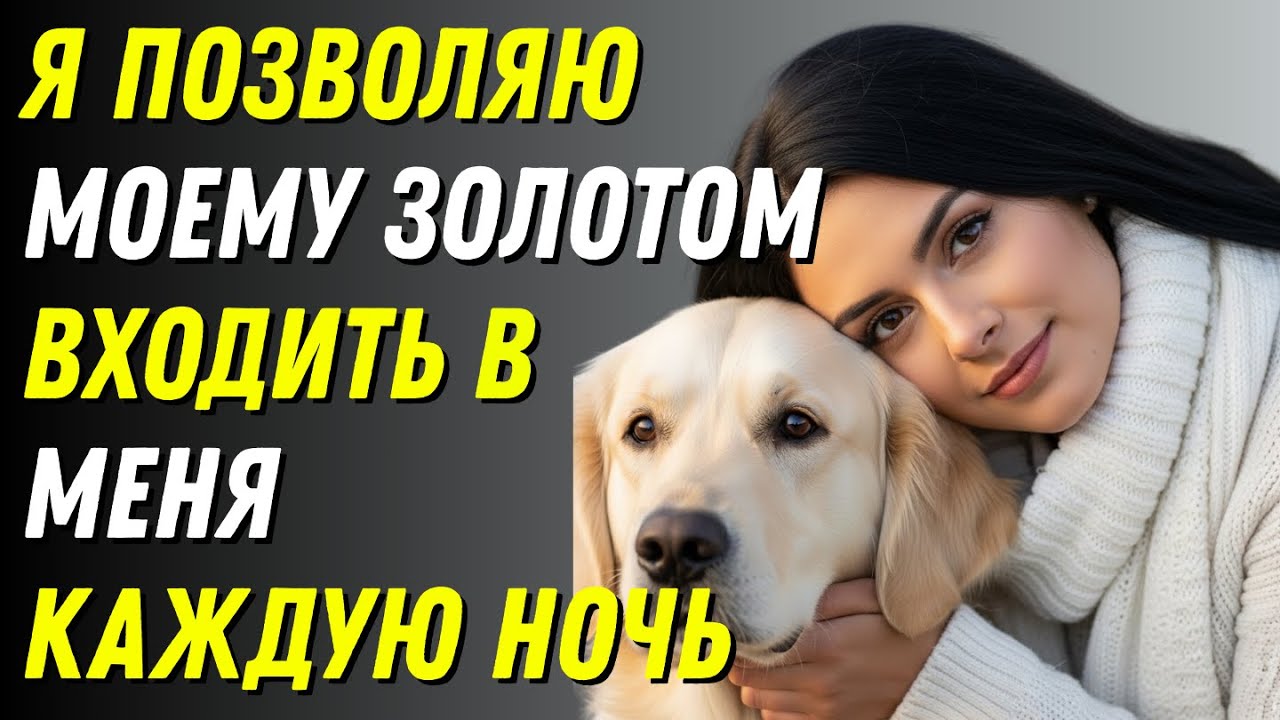 Моя собака делает это КАЖДУЮ НОЧЬ, когда моего мужа нет дома. Трогательная история.