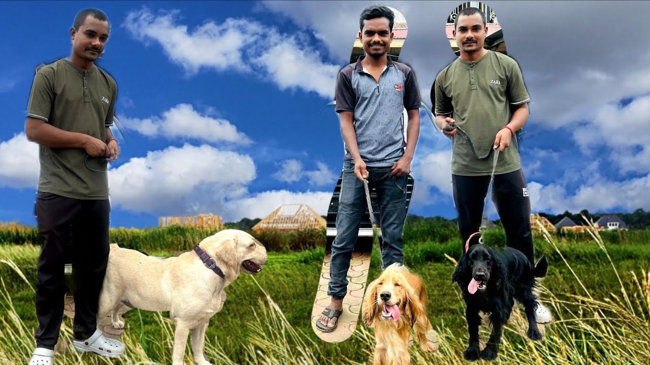 Gujrati mix comedy and funny