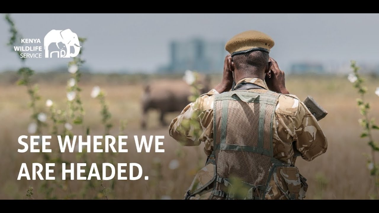 Partner with Us to Safeguard Kenya's Wildlife and their Habitats!