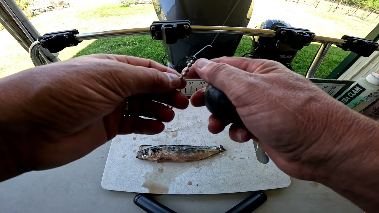 Lake Roosevelt Sturgeon setup.