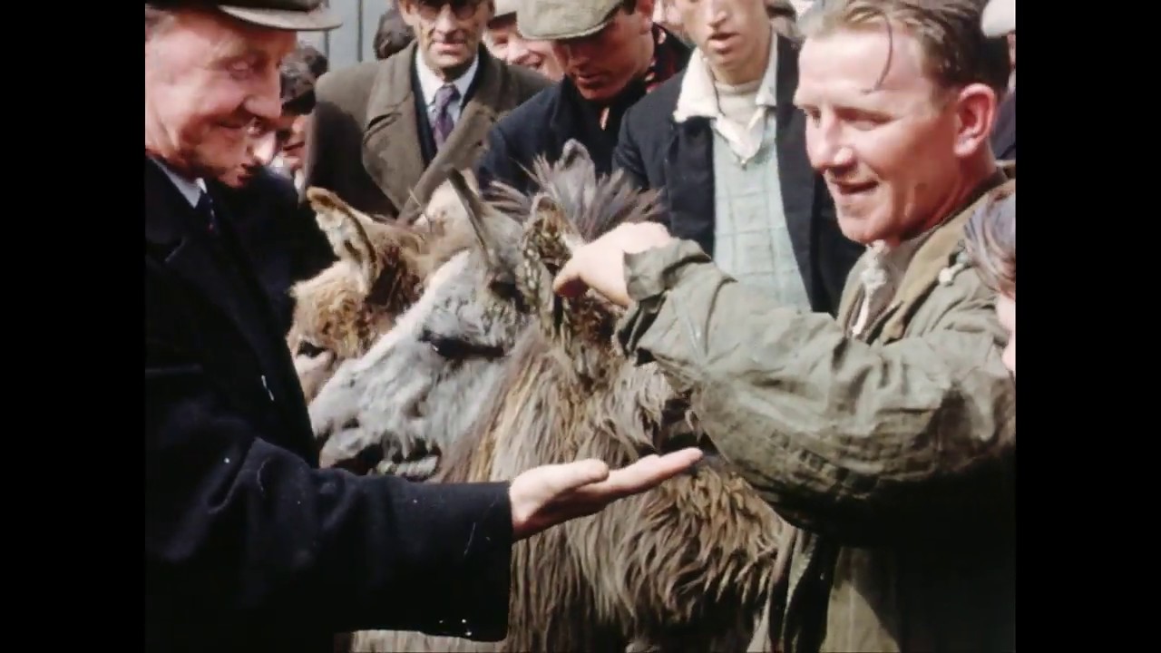 Northern Ireland Memories Of 1958