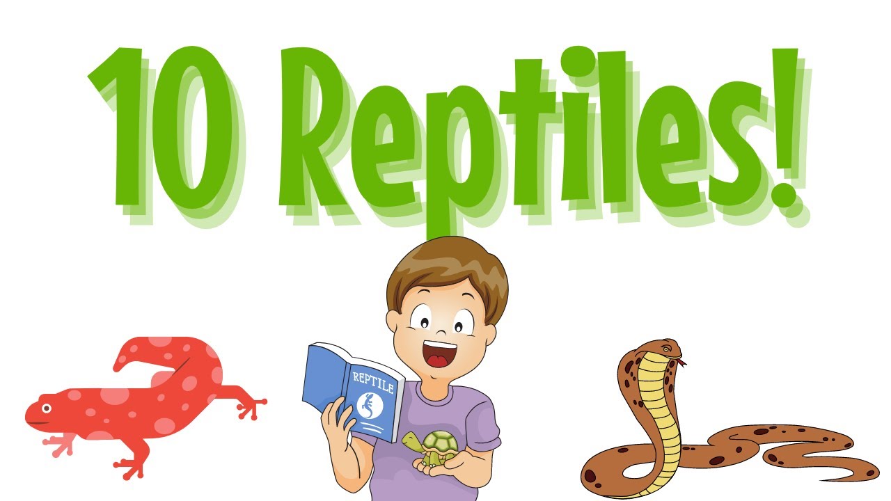 ¡APRENDIENDO 10 REPTILES!  🐍  For Kids