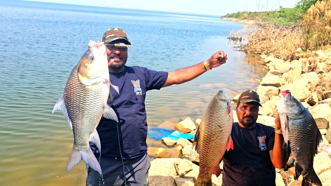 Amazing Fishing Video | Big Catla & Big Rohu Fish Catching | Feeder Hook Fishing