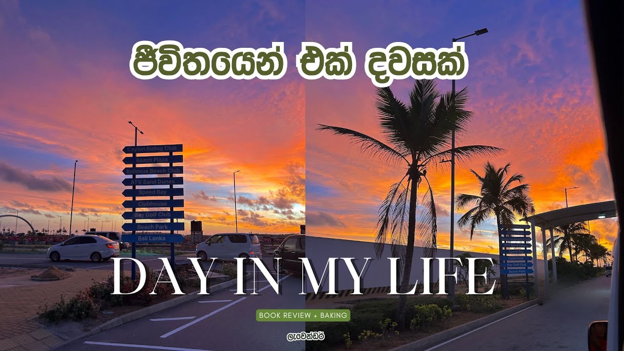 Days in Life Vlog | මගේ ජීවිතයෙන් එක් දවසක් | BMICH Book Fair Finds 📚 & Cozy Baking🍰
